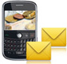 Bulk SMS BlackBerry Phone
